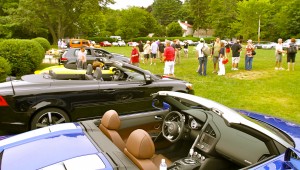 So many wonderful cars, so little time to drive them . . .